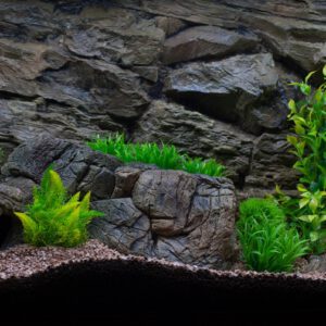 Achterwand Rock (Verschillende Maten)
