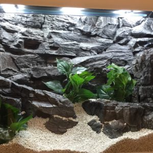 Achterwand Rock Grijs (Verschillende Maten)