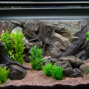 Achterwand Root (Verschillende Maten)
