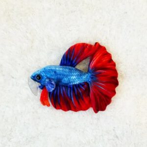 Betta Fish Plush Blauw/Rood